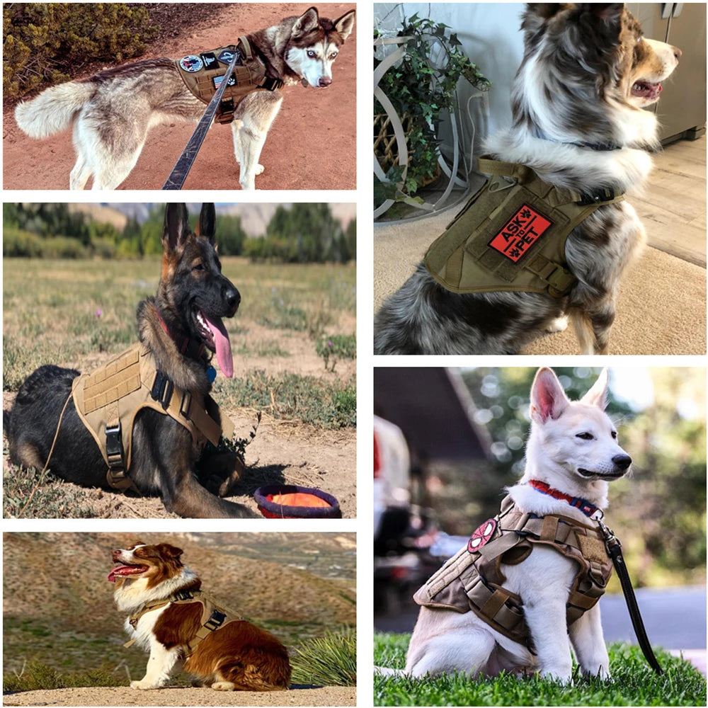 Large Dog Harness with Molle Pouches for Training - Smarsty