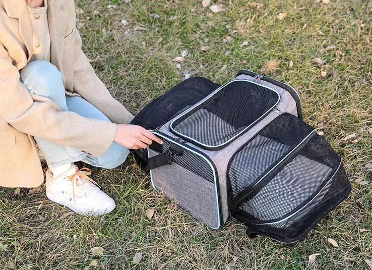Foldable Pet Carrier Bag for Small Dogs and Cats - Smarsty