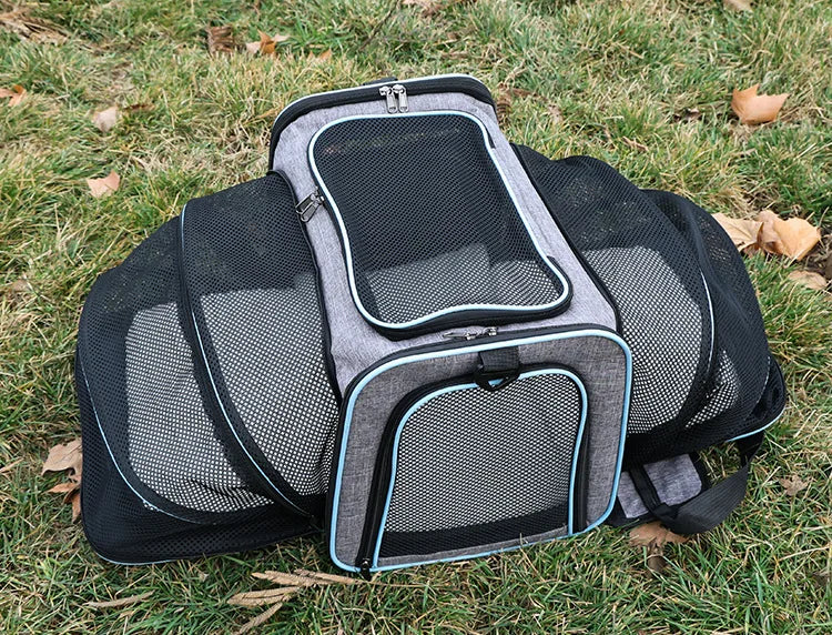 Foldable Pet Carrier Bag for Small Dogs and Cats - Smarsty