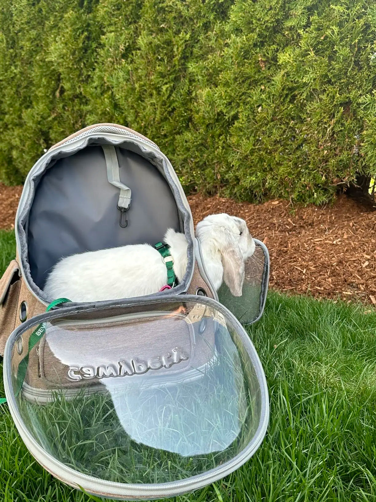 Transparent Folding Pet Carrier Backpack for Travel - Smarsty