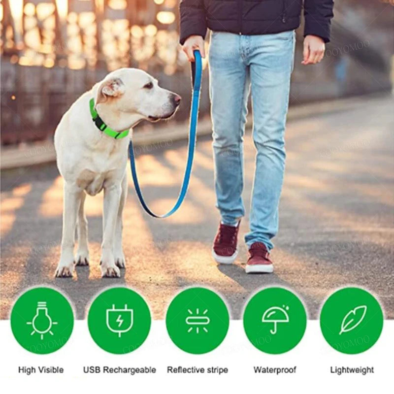 USB Rechargeable LED Dog Collar with Adjustable Anti-Lost Feature - Smarsty