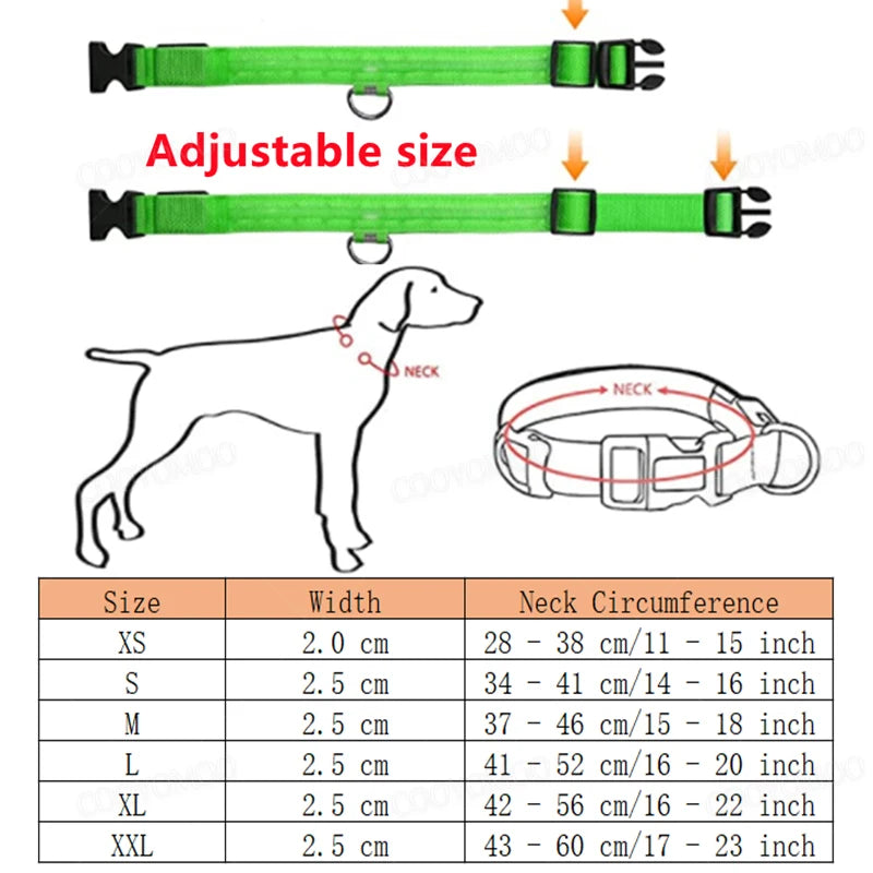 USB Rechargeable LED Dog Collar with Adjustable Anti-Lost Feature - Smarsty