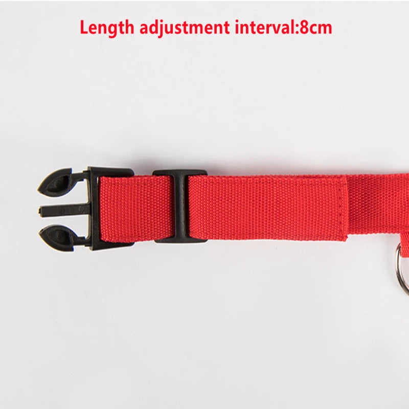 USB Rechargeable LED Dog Collar with Adjustable Anti-Lost Feature - Smarsty