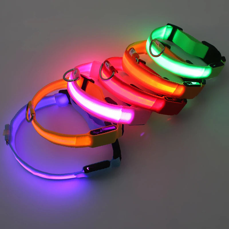 USB Rechargeable LED Dog Collar with Adjustable Anti-Lost Feature - Smarsty