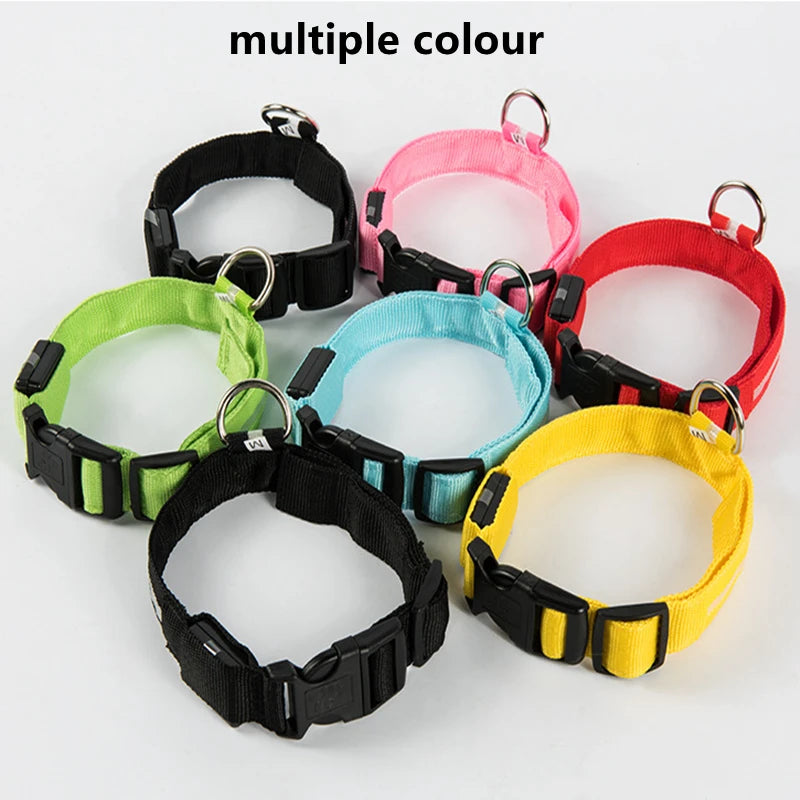 USB Rechargeable LED Dog Collar with Adjustable Anti-Lost Feature - Smarsty