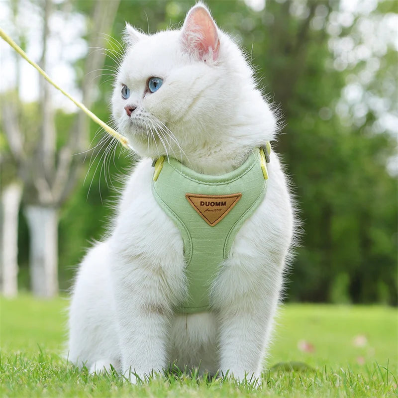 Breathable Pet Harness and Leash Set for Small Dogs and Cats - Smarsty