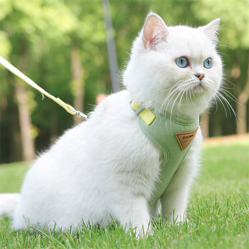 Breathable Pet Harness and Leash Set for Small Dogs and Cats - Smarsty