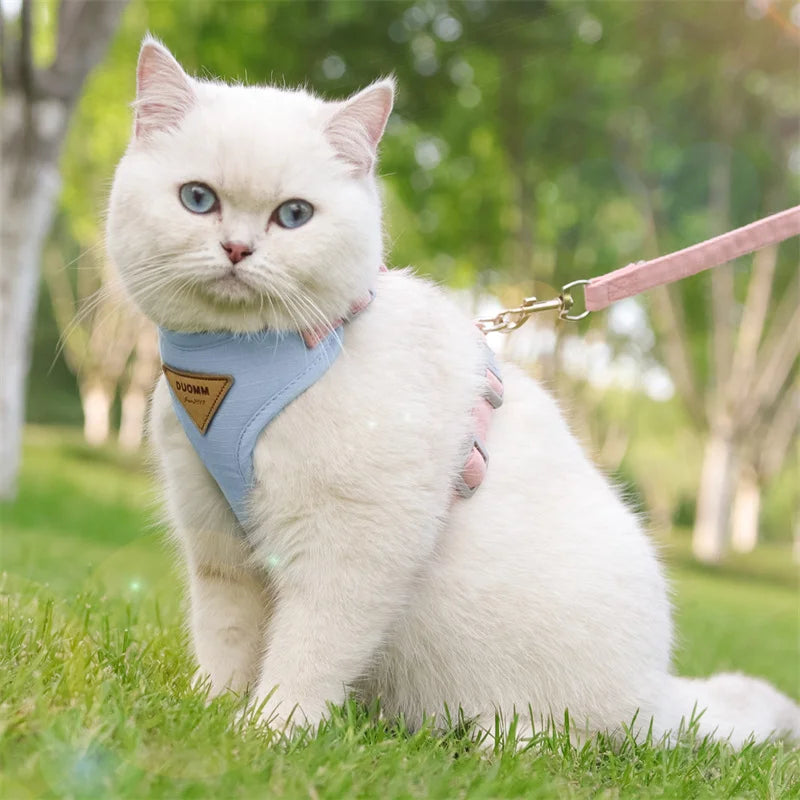 Breathable Pet Harness and Leash Set for Small Dogs and Cats - Smarsty
