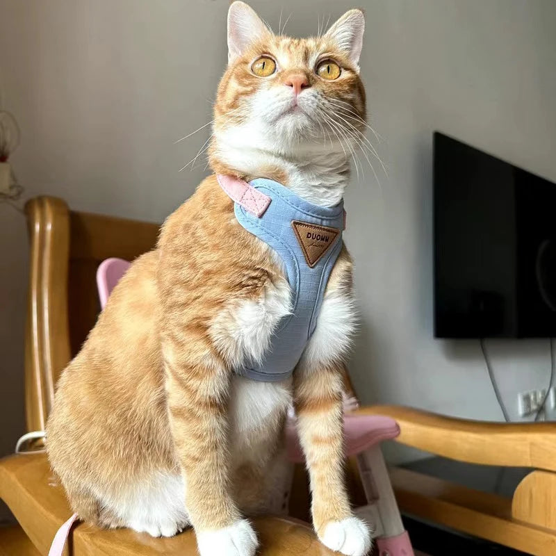 Breathable Pet Harness and Leash Set for Small Dogs and Cats - Smarsty