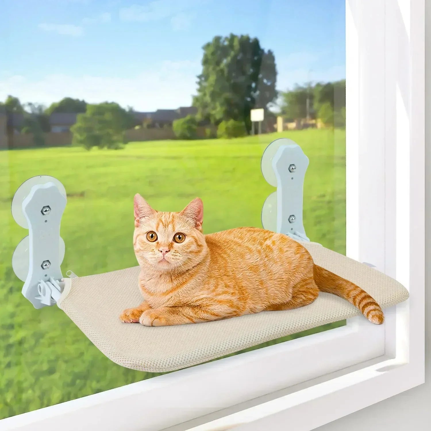 Foldable Suction Cup Cat Hammock For Window Relaxation - Smarsty