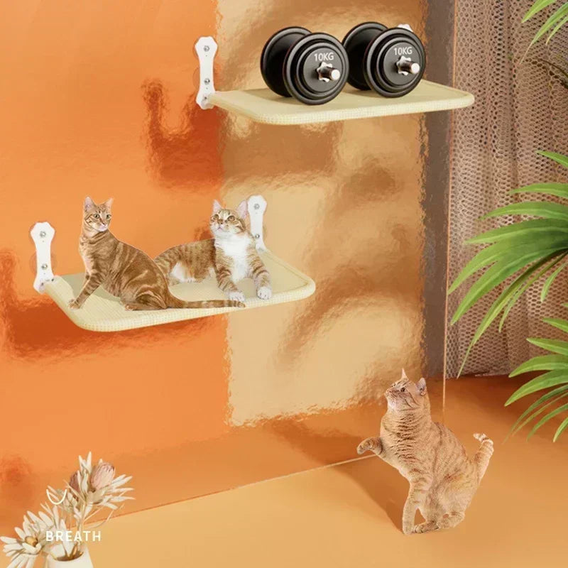 Foldable Suction Cup Cat Hammock For Window Relaxation - Smarsty