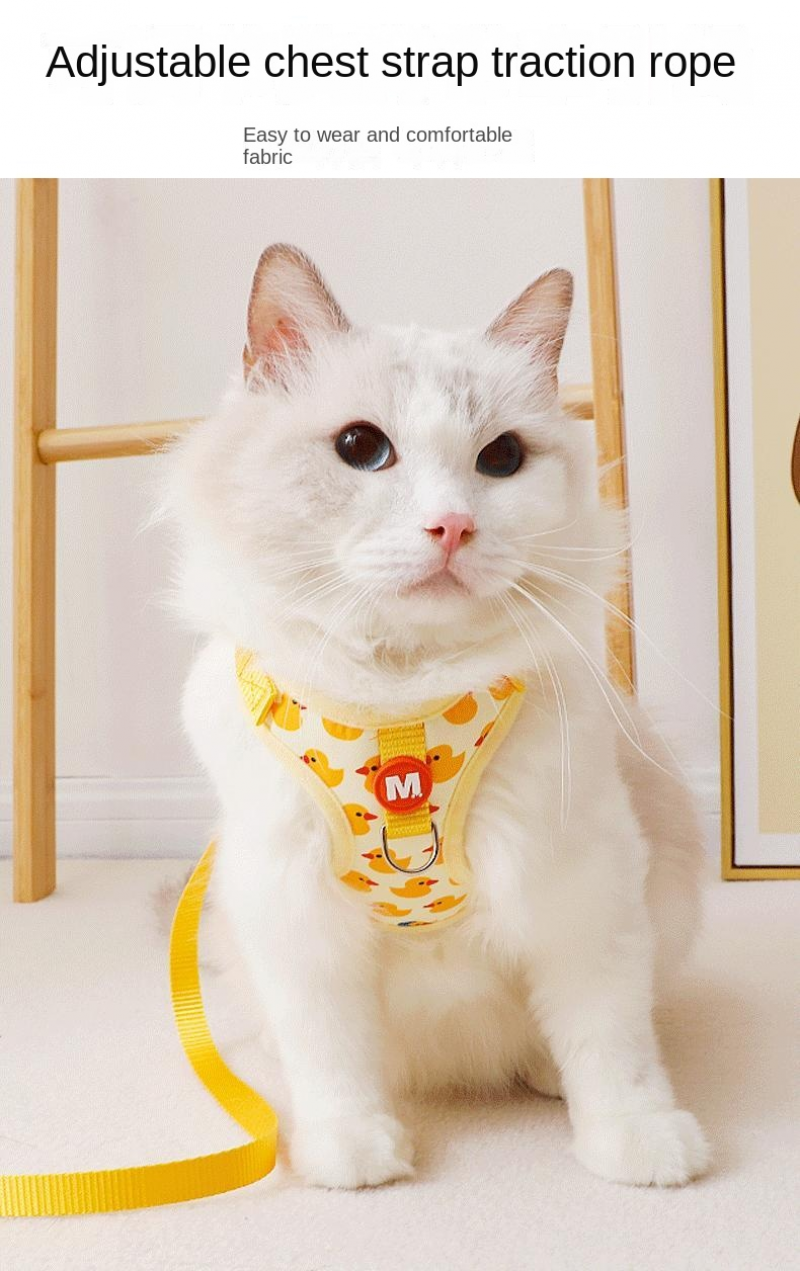 Adjustable Cartoon Duck Dog Harness and Leash Set - Smarsty