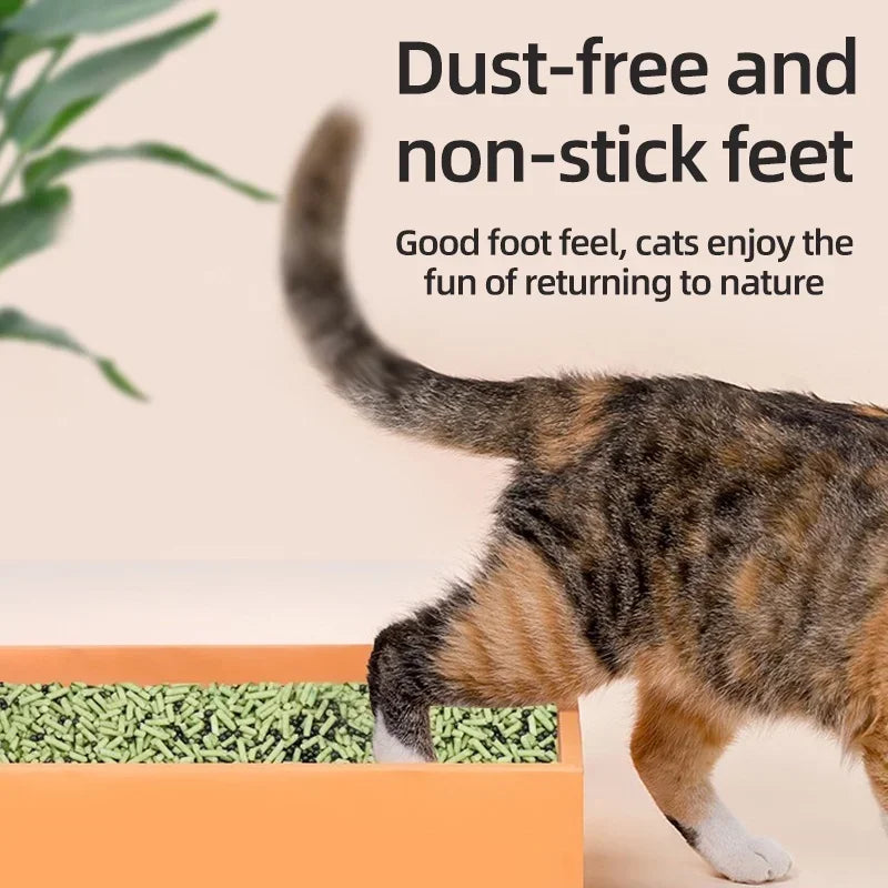 Aromatic Deodorant Beads for Cat Litter Box - Smarsty