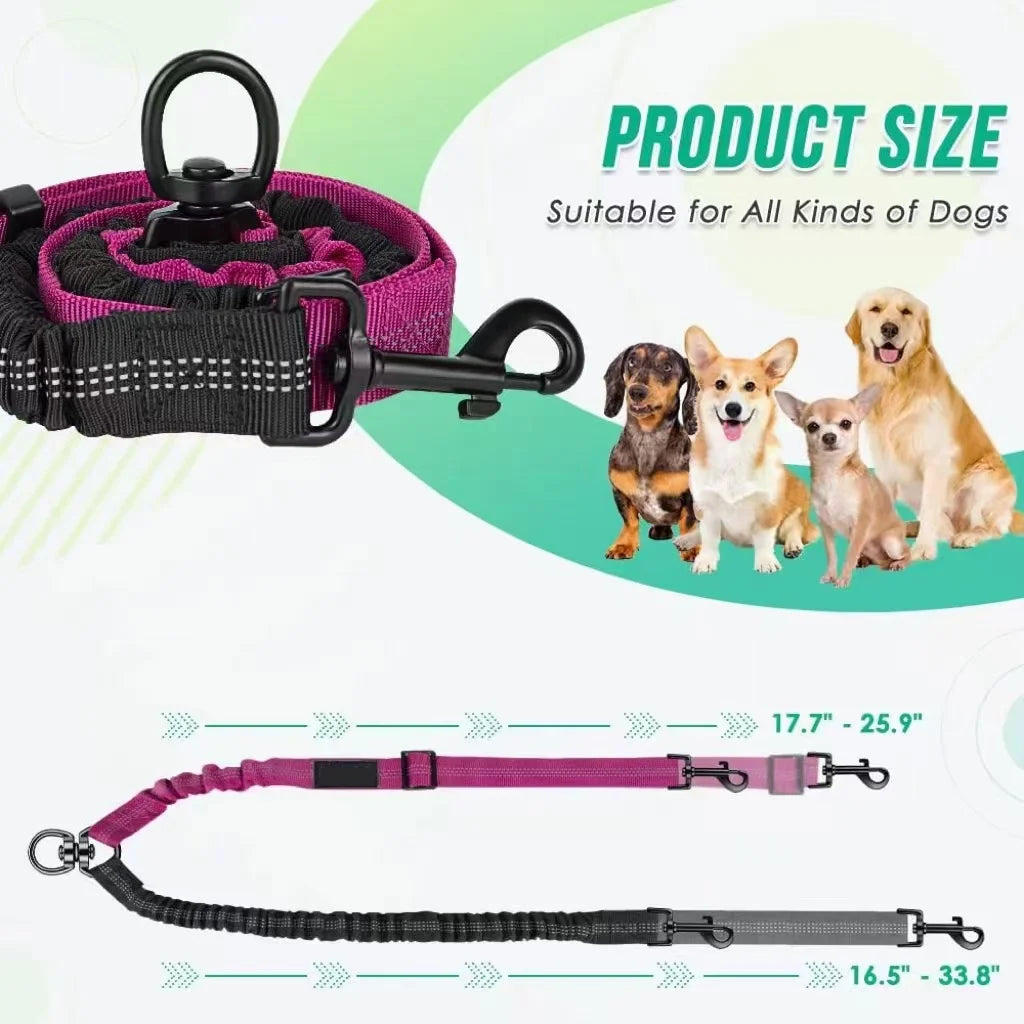 Dual Dog Leash Attachment with Shock Absorbing Bungee - Smarsty