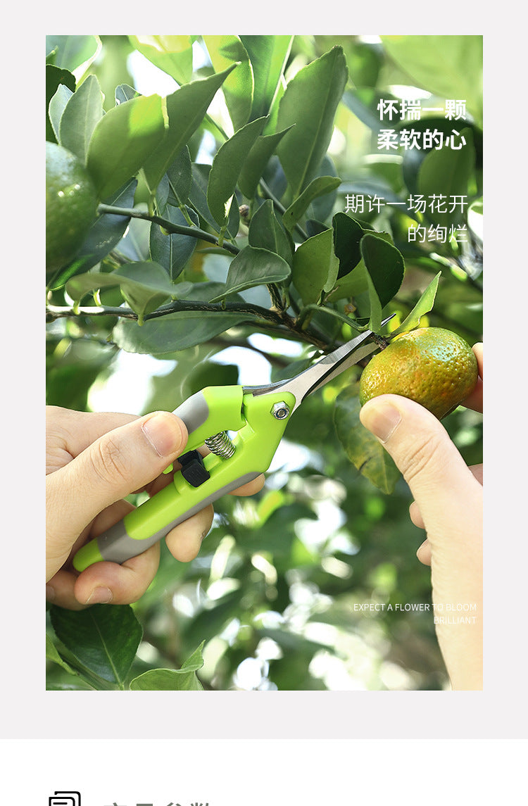 Precision Metal Pruning Shears for Bonsai and Gardening - Smarsty