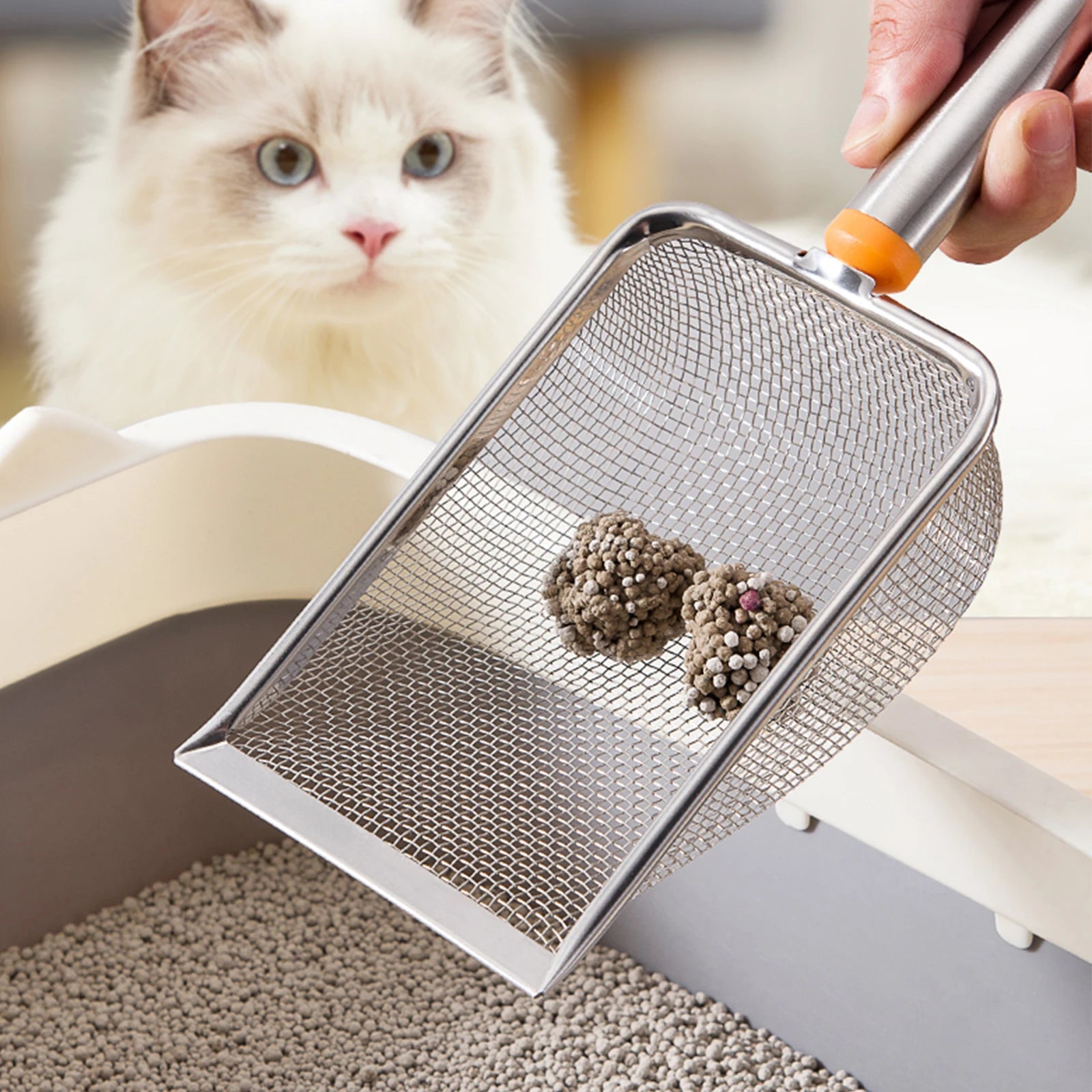 Stainless Steel Cat Litter Scoop with Long Handle - Smarsty