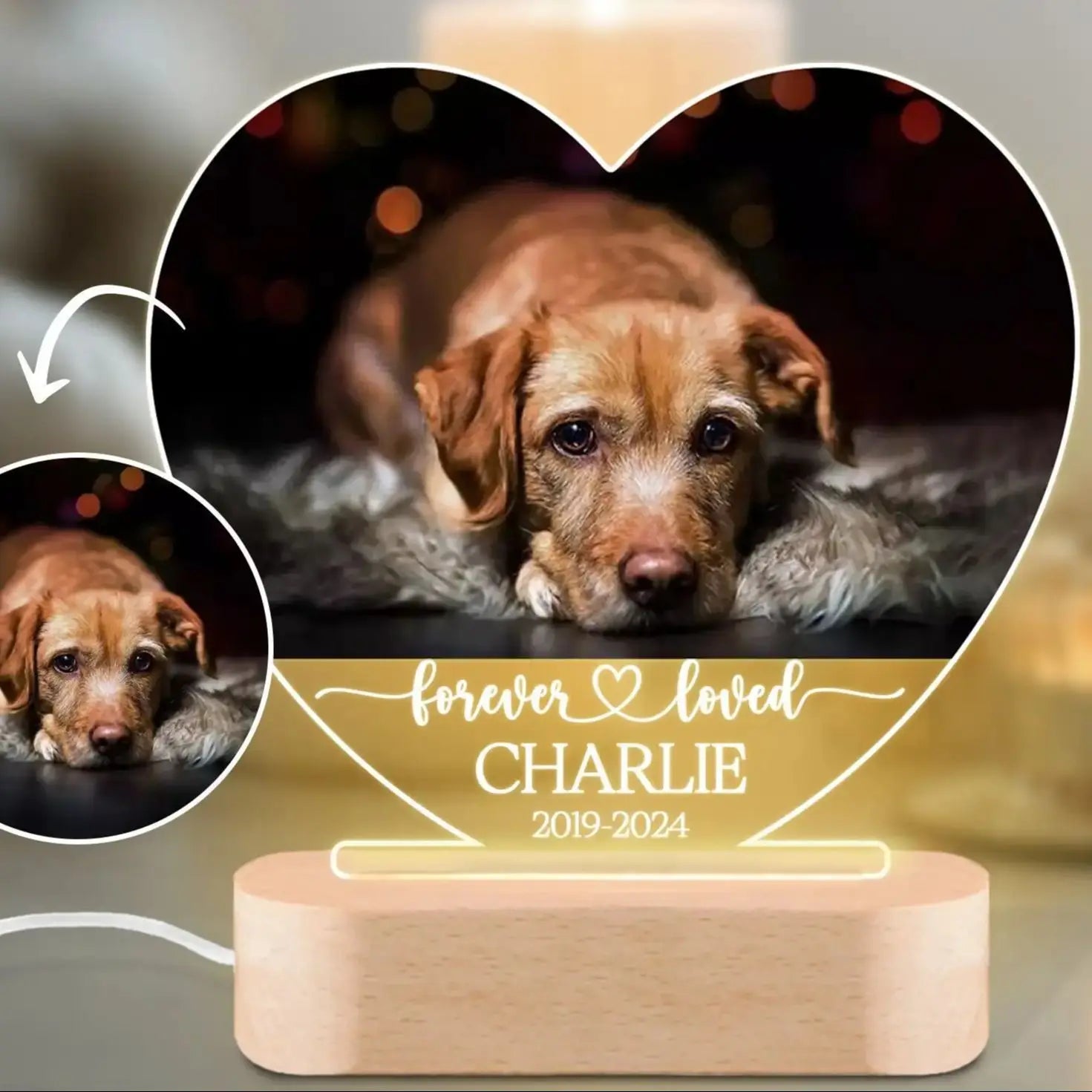 Custom Dog Photo Night Light for Pet Memorial - Smarsty