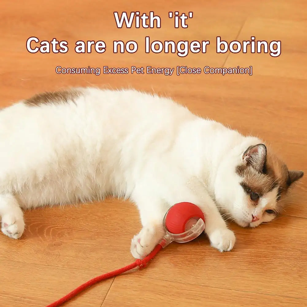 Smart Interactive Cat Ball Toy with Rechargeable Tail - Smarsty