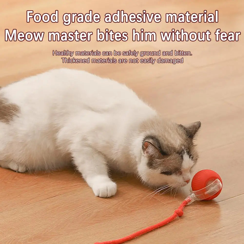 Smart Interactive Cat Ball Toy with Rechargeable Tail - Smarsty