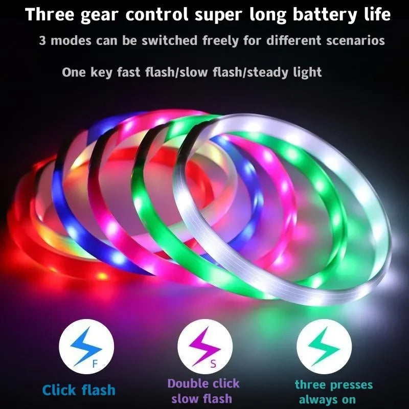 LED Luminous Dog Collar for Night Safety - Smarsty