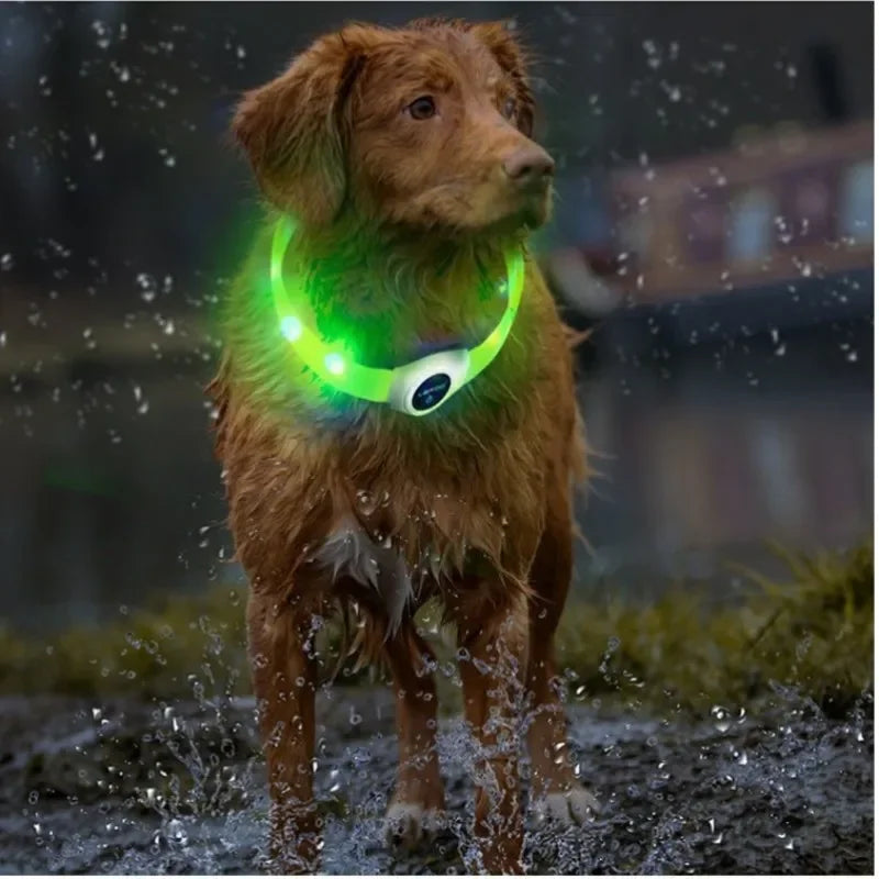 LED Luminous Dog Collar for Night Safety - Smarsty