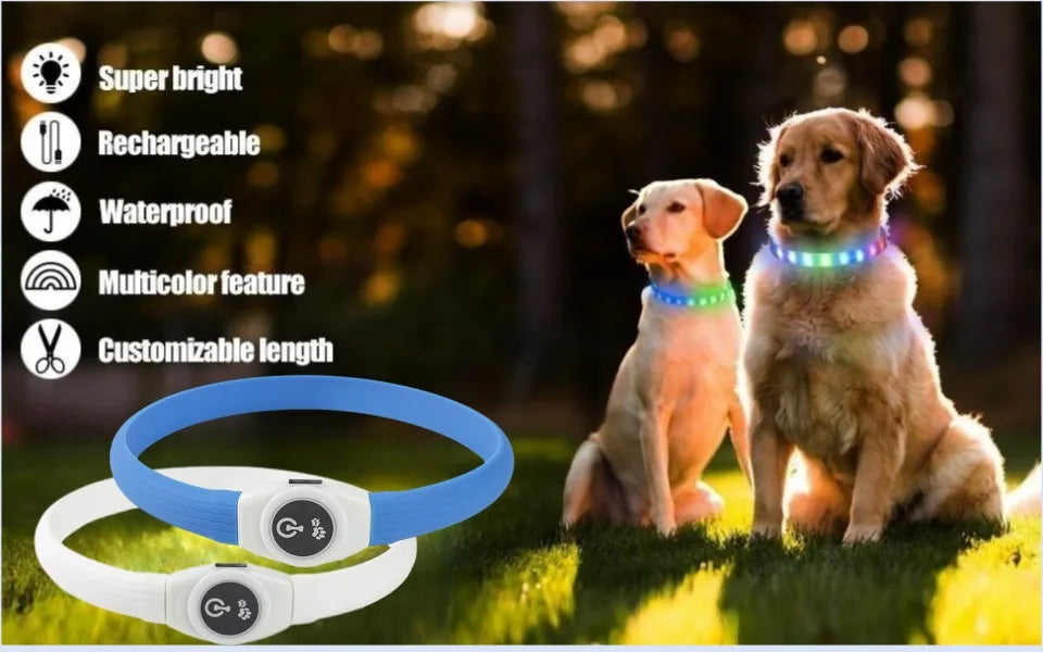 LED Luminous Dog Collar for Night Safety - Smarsty