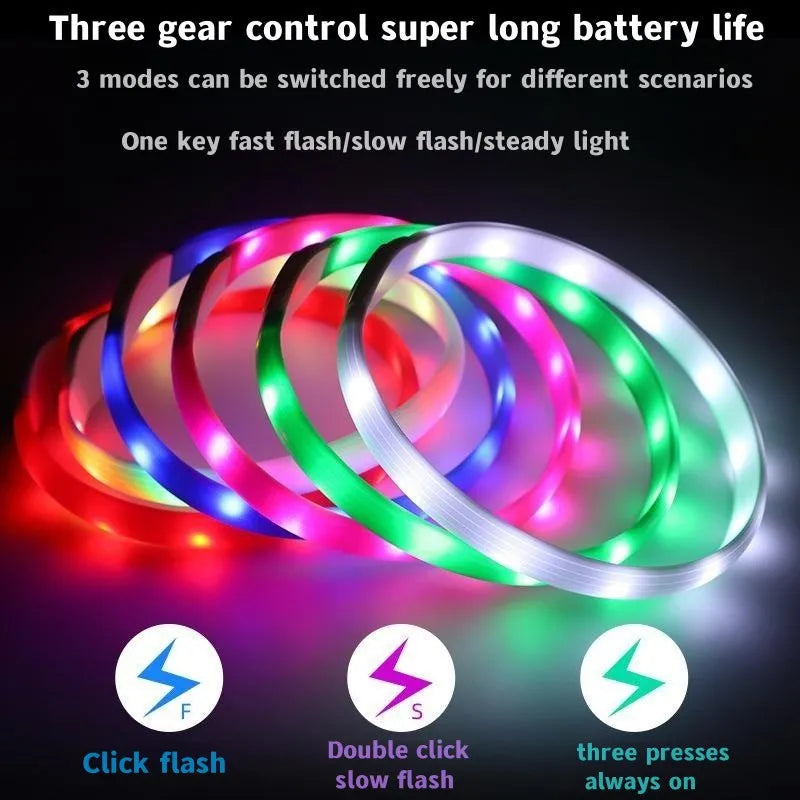LED Luminous Dog Collar for Night Safety - Smarsty