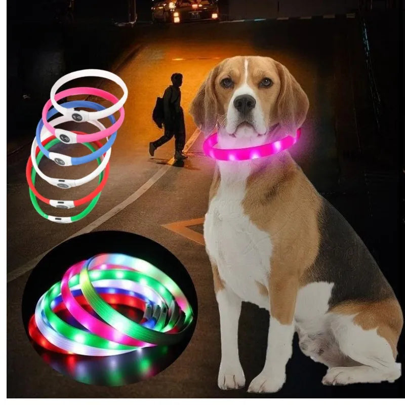 LED Luminous Dog Collar for Night Safety - Smarsty