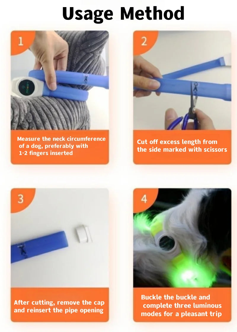 LED Luminous Dog Collar for Night Safety - Smarsty