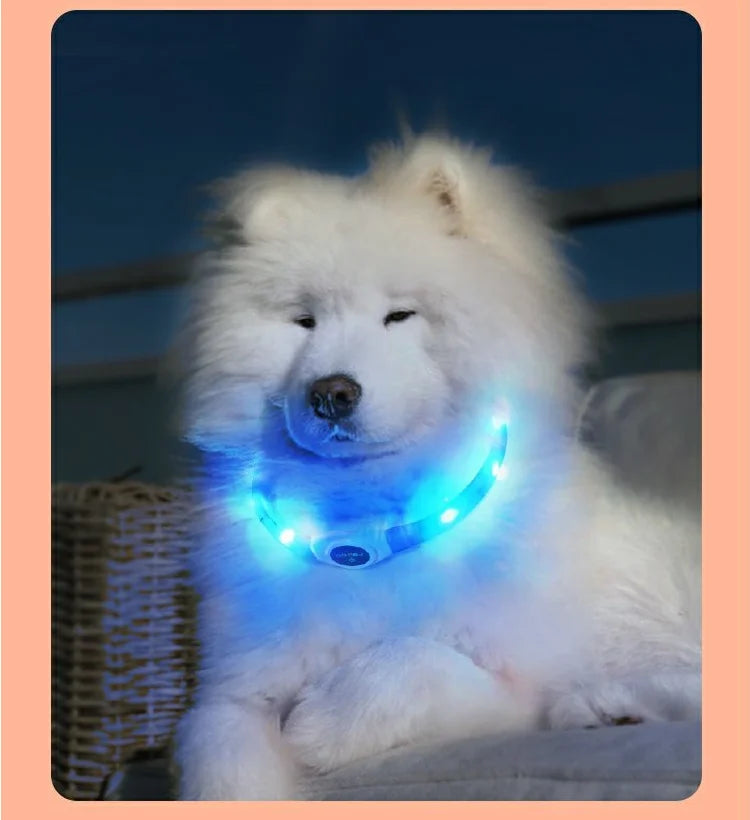 LED Luminous Dog Collar for Night Safety - Smarsty