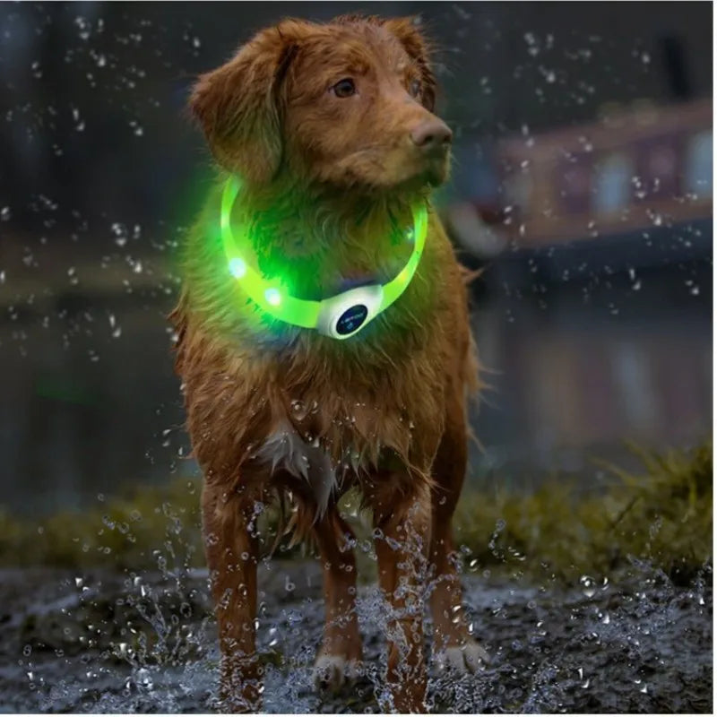 LED Luminous Dog Collar for Night Safety - Smarsty