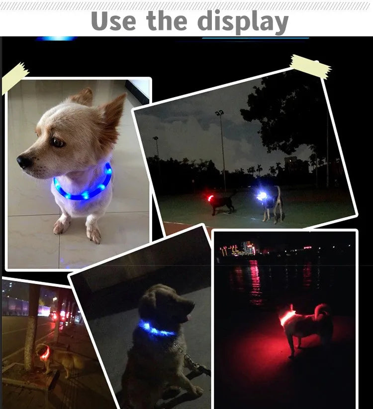 LED Luminous Dog Collar for Night Safety - Smarsty