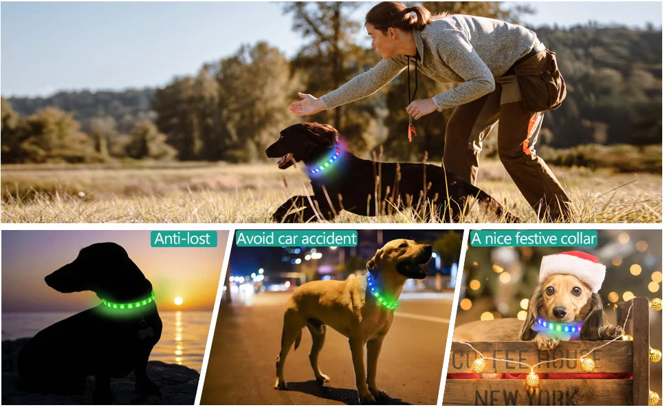 LED Luminous Dog Collar for Night Safety - Smarsty
