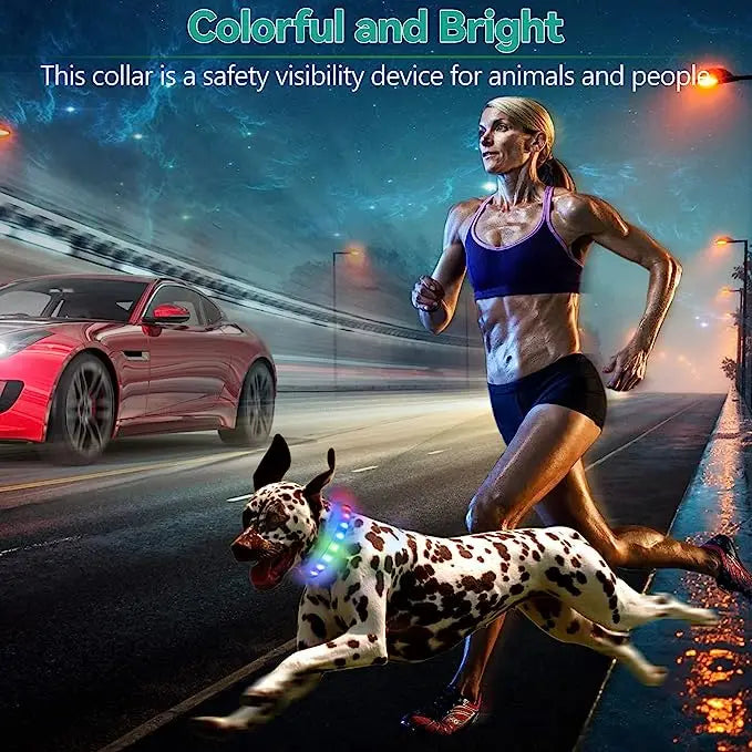LED Luminous Dog Collar for Night Safety - Smarsty