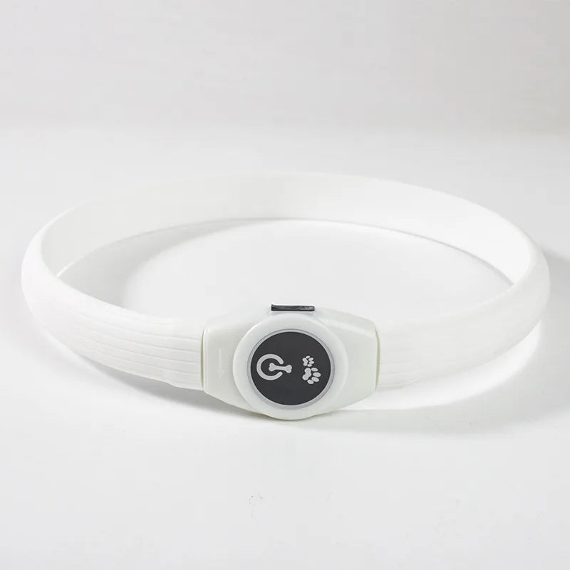 LED Luminous Dog Collar for Night Safety - Smarsty
