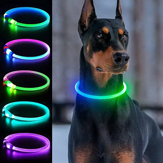 LED Luminous Dog Collar for Night Safety - Smarsty