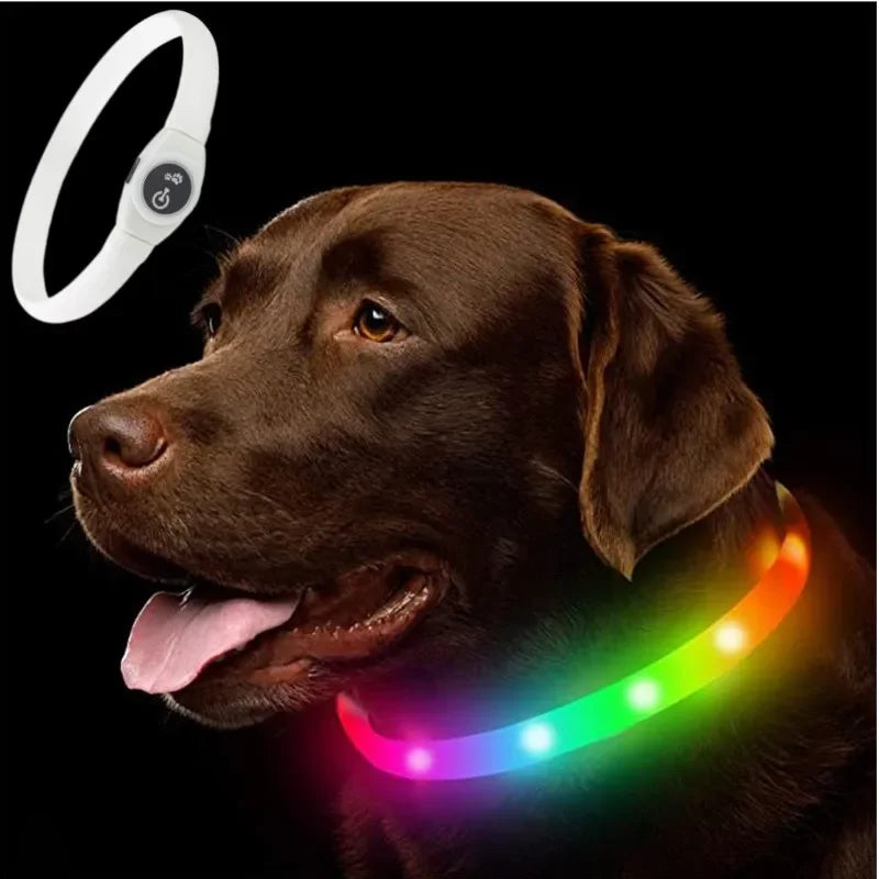 LED Luminous Dog Collar for Night Safety - Smarsty