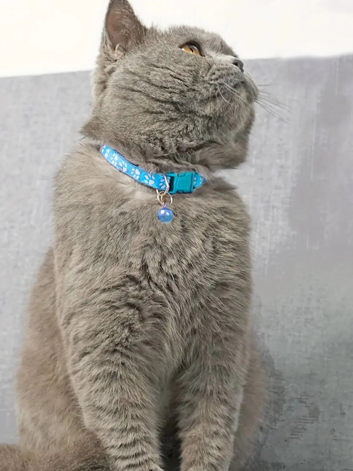 Colorful Adjustable Cat Collar with Cute Bell - Smarsty