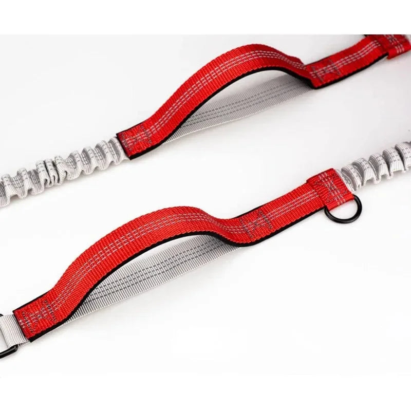 Retractable Hands Free Dog Leash for Active Pet Owners - Smarsty