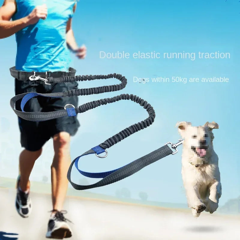 Retractable Hands Free Dog Leash for Active Pet Owners - Smarsty