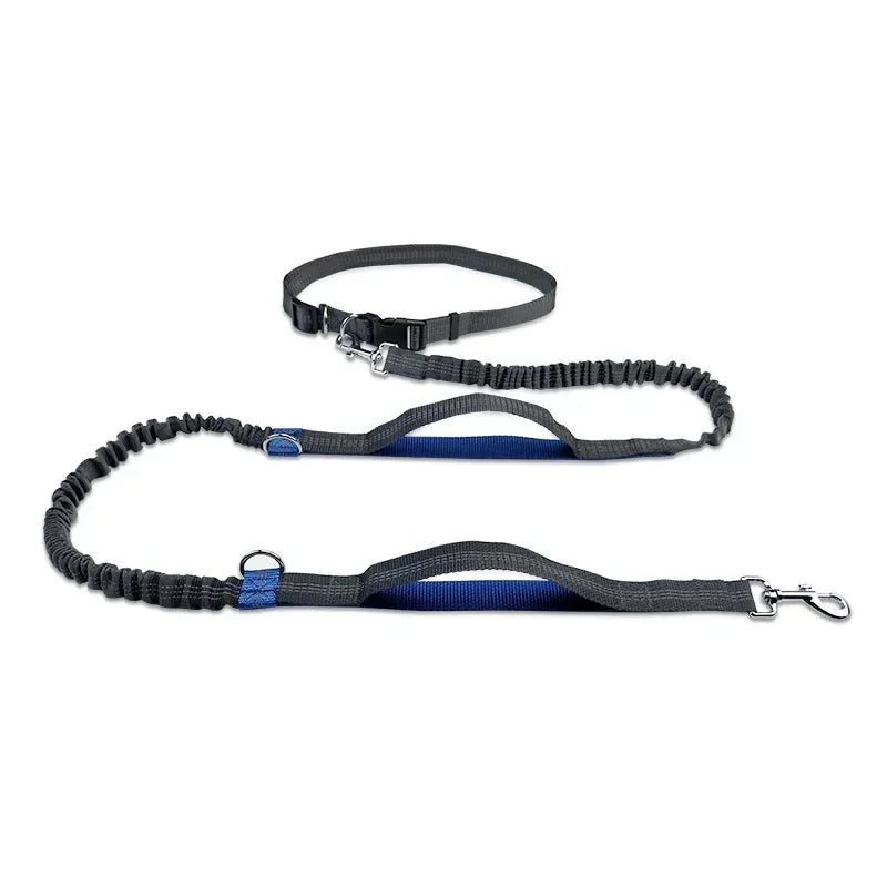 Retractable Hands Free Dog Leash for Active Pet Owners - Smarsty
