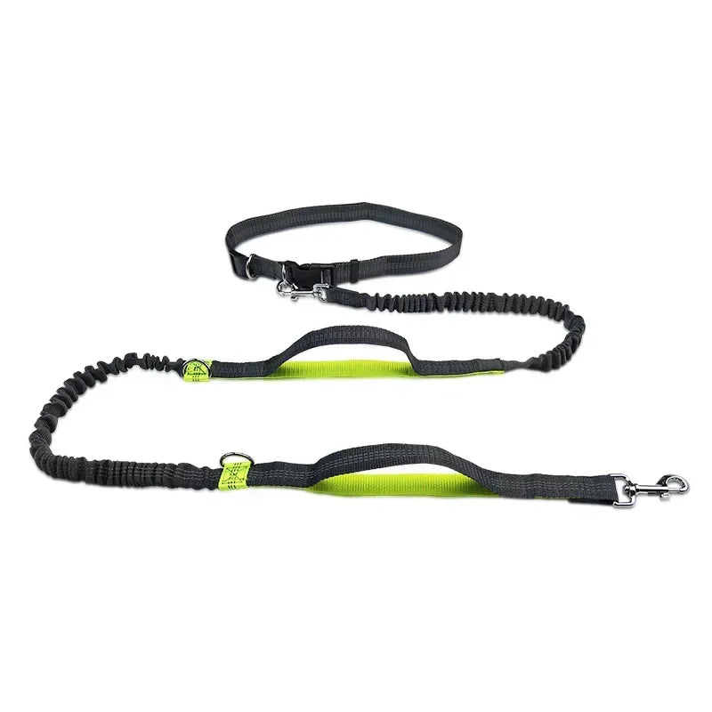 Retractable Hands Free Dog Leash for Active Pet Owners - Smarsty