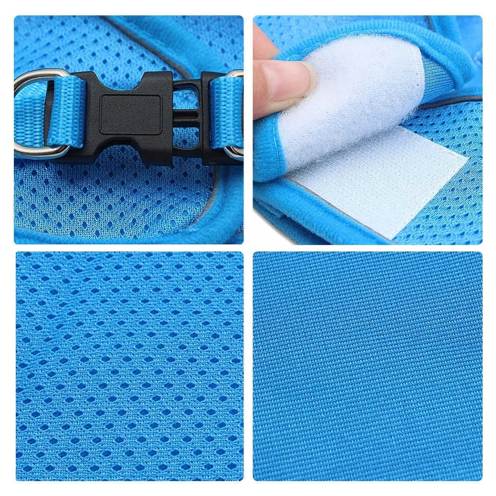 Reflective Dog Harness and Leash Set for Safety - Smarsty