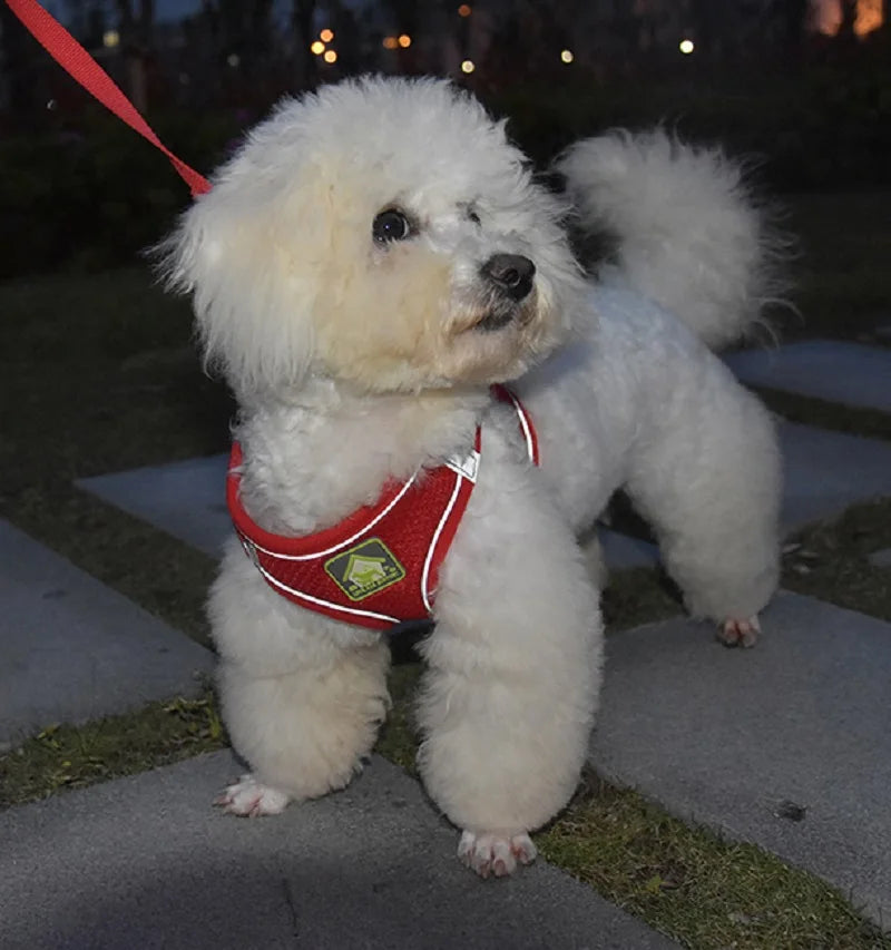 Reflective Dog Harness and Leash Set for Safety - Smarsty