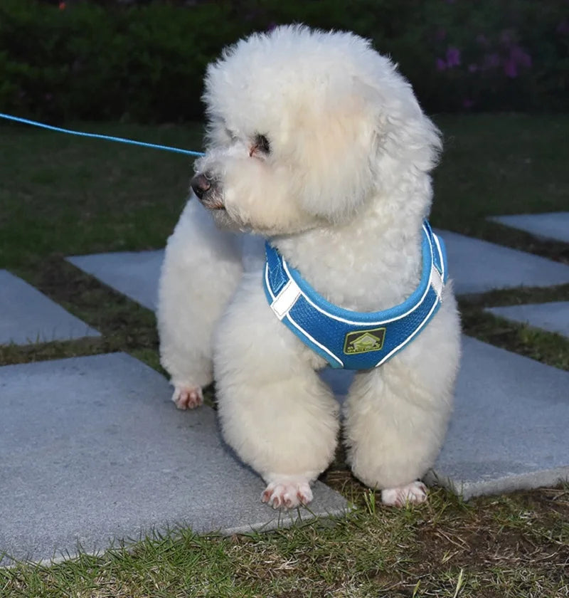 Reflective Dog Harness and Leash Set for Safety - Smarsty
