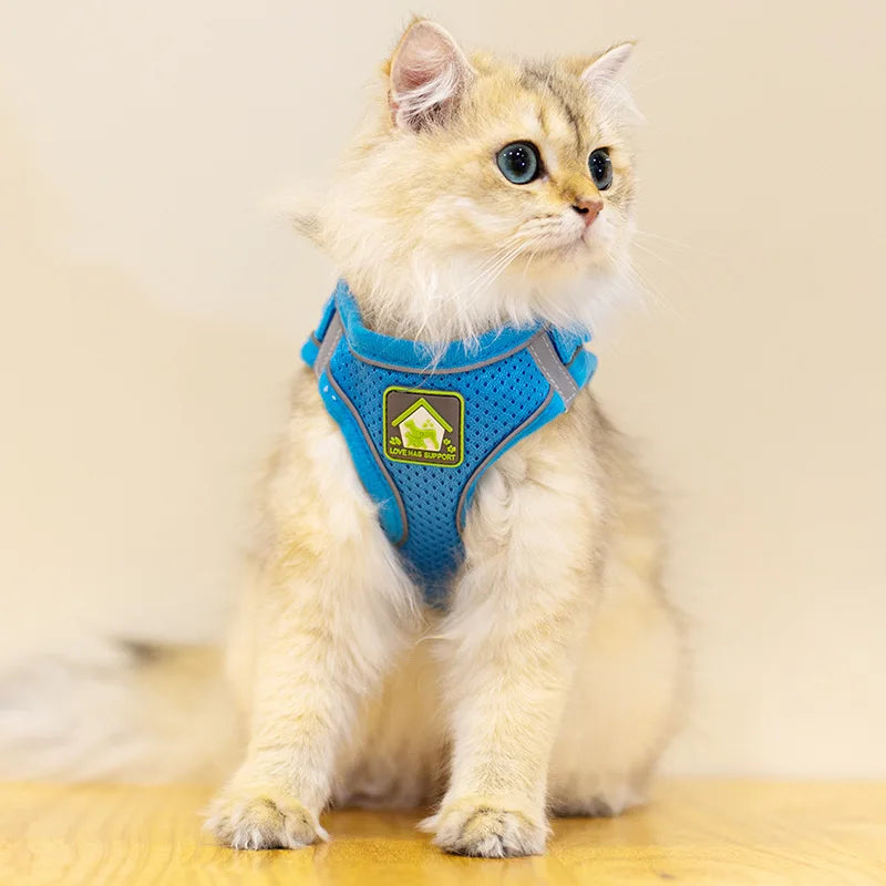 Reflective Dog Harness and Leash Set for Safety - Smarsty