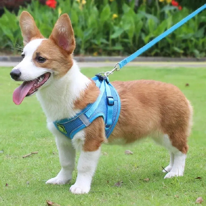 Reflective Dog Harness and Leash Set for Safety - Smarsty