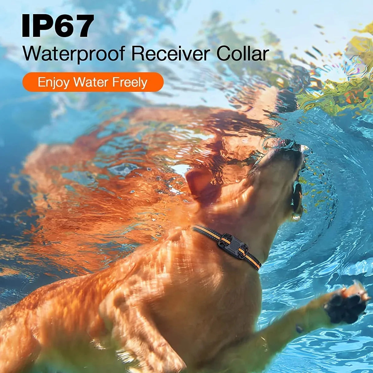 1000M Waterproof Dog Training Collar with Shock and Vibration - Smarsty