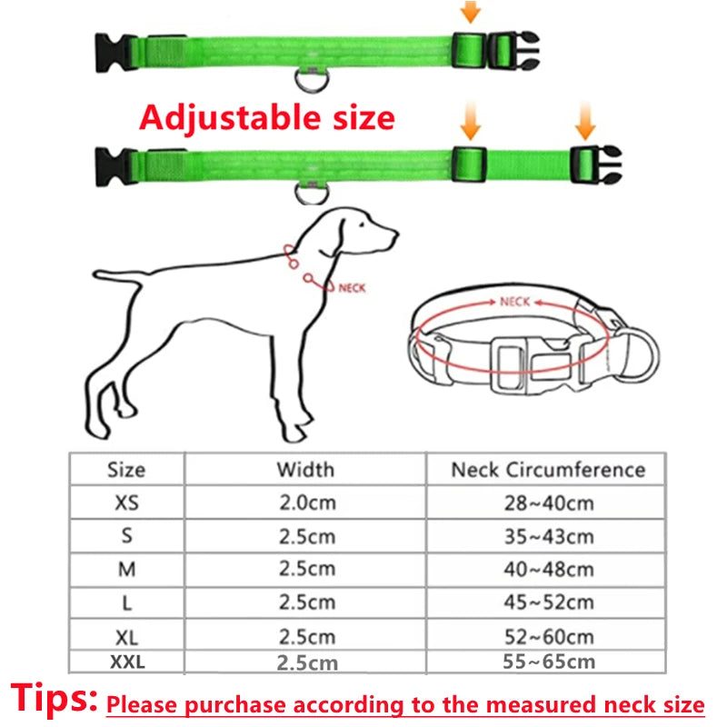 USB Rechargeable Luminous Dog Collar for Night Safety - Smarsty