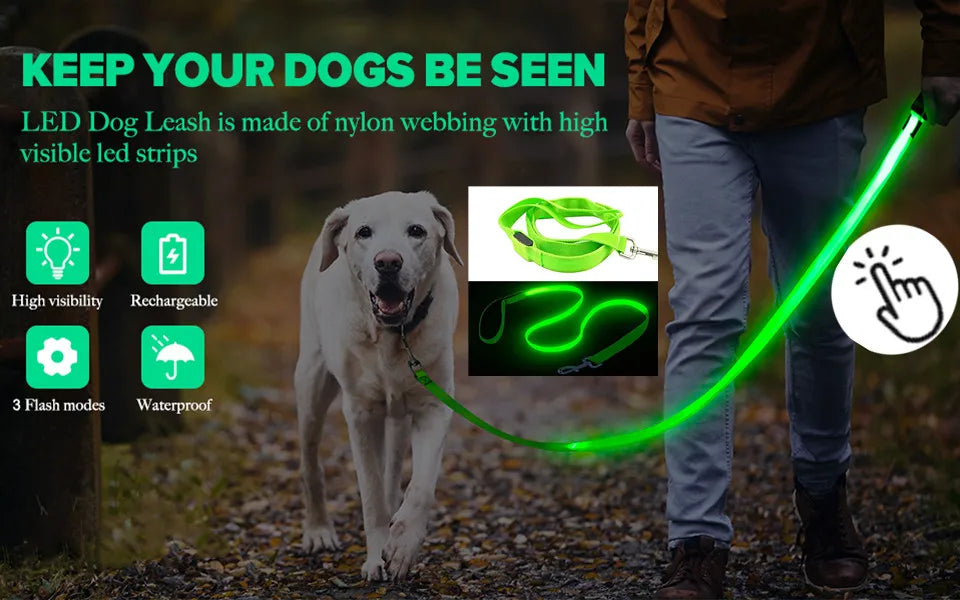 USB Rechargeable Luminous Dog Collar for Night Safety - Smarsty